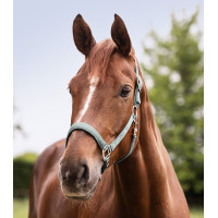 Licol Waldhausen Satin Zilverkleurig blauw Licol Waldhausen Satin Zilverkleurig blauw