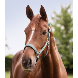 Licol Waldhausen Satin Zilverkleurig blauw