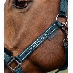 Licol Waldhausen Elegant Petrolblauw Licol Waldhausen Elegant Petrolblauw