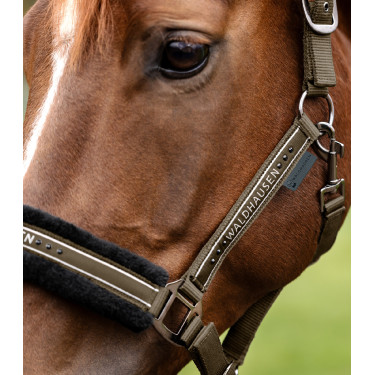 Licol Waldhausen Elegant Bruin groen