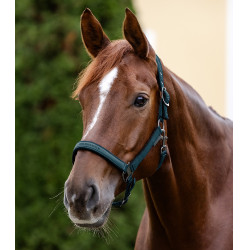 Licol Waldhausen Atheltic Petrolblauw