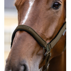 Licol Waldhausen Atheltic Bruin groen