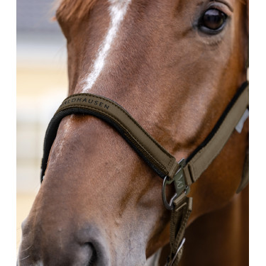 Licol Waldhausen Atheltic Bruin groen