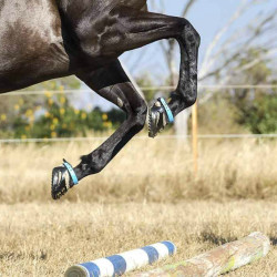 Hoefschoenen Scoot Boots Hoefschoenen Scoot Boots