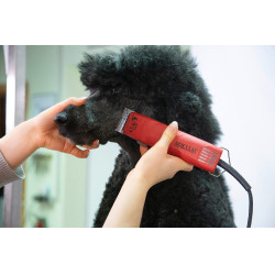 Tondeuse FAV5 Aesculap Rood Tondeuse FAV5 Aesculap Rood