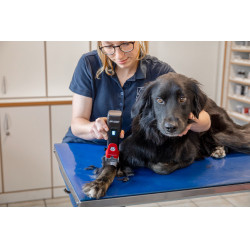 Draadloze tondeuse Favorita CLi Aesculap Rood