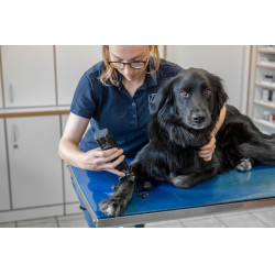 Draadloze tondeuse Favorita CLi Aesculap Rood