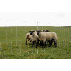 OviNet Maxi AKO Wit / blauw