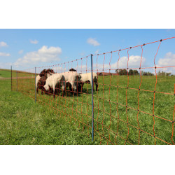 OviNet Premium AKO Oranje