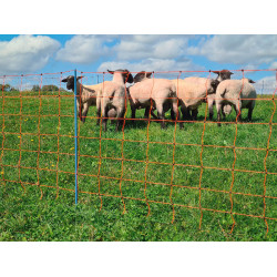 OviNet Premium AKO Oranje