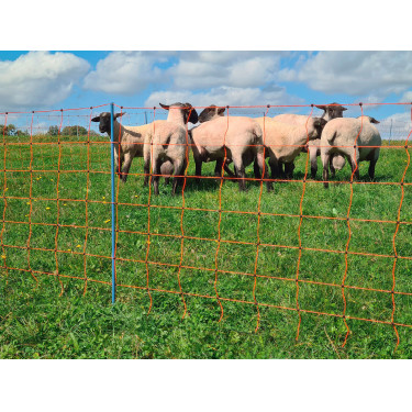 OviNet Premium AKO Oranje