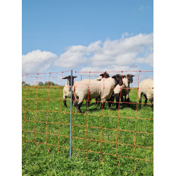 OviNet Premium AKO Oranje