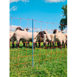 OviNet Premium AKO Oranje