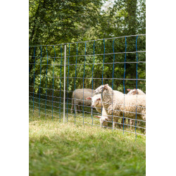 TitanNet 145 AKO Blauw / wit TitanNet 145 AKO Blauw / wit