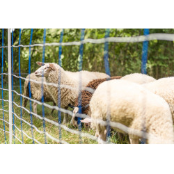 TitanNet 145 AKO Blauw / wit TitanNet 145 AKO Blauw / wit