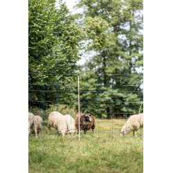 TitanNet 145 AKO Blauw / wit TitanNet 145 AKO Blauw / wit