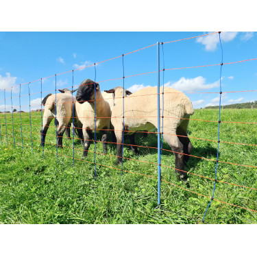 TitanNet Premium AKO Blauw / oranje TitanNet Premium AKO Blauw / oranje