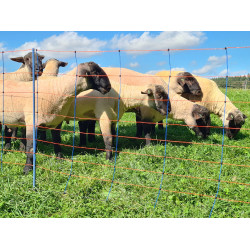 TitanNet Premium AKO Blauw / oranje TitanNet Premium AKO Blauw / oranje