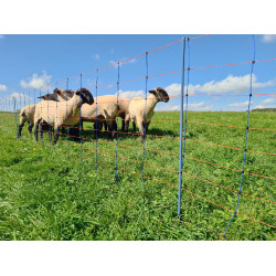 TitanNet Premium AKO Blauw / oranje TitanNet Premium AKO Blauw / oranje