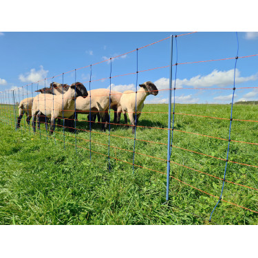 TitanNet Premium AKO Blauw / oranje TitanNet Premium AKO Blauw / oranje