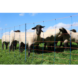 TitanNet Premium AKO Blauw / oranje TitanNet Premium AKO Blauw / oranje