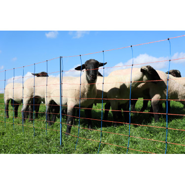 TitanNet Premium AKO Blauw / oranje TitanNet Premium AKO Blauw / oranje