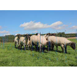 TitanNet Premium Plus AKO Blauw / wit