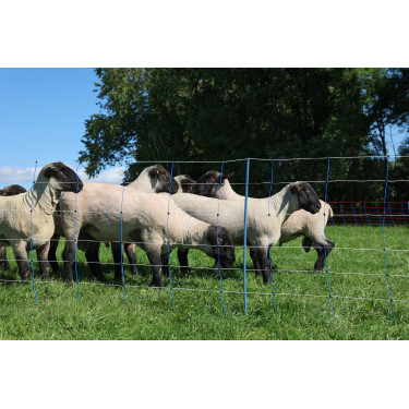 TitanNet Premium Plus AKO Blauw / wit