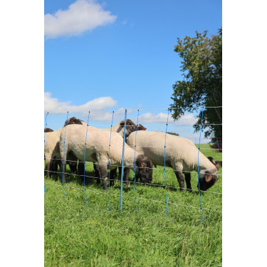 TitanNet Premium Plus AKO Blauw / wit