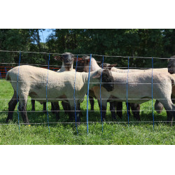 TitanNet Premium Plus AKO Blauw / wit