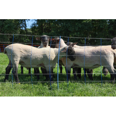 TitanNet Premium Plus AKO Blauw / wit