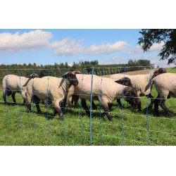 TitanNet Premium Plus AKO Blauw / wit