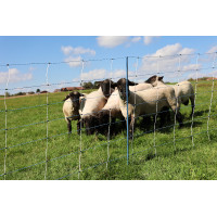 TitanNet Premium Vario AKO Wit / blauw TitanNet Premium Vario AKO Wit / blauw