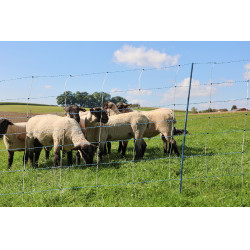 TitanNet Premium Vario AKO Wit / blauw TitanNet Premium Vario AKO Wit / blauw