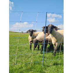 TitanNet Premium Vario AKO Wit / blauw TitanNet Premium Vario AKO Wit / blauw