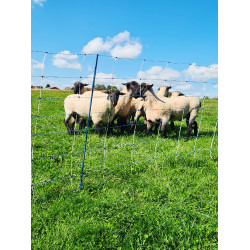 TitanNet Premium Vario AKO Wit / blauw TitanNet Premium Vario AKO Wit / blauw