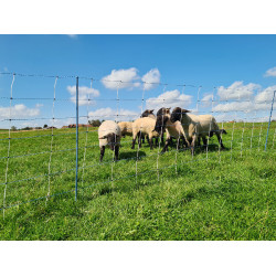 TitanNet Premium Vario AKO Wit / blauw TitanNet Premium Vario AKO Wit / blauw