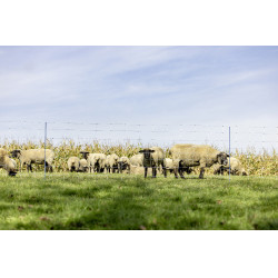 TitanNet Premium XBraid AKO Wit / blauw