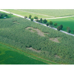 WildNet AKO Wit / blauw