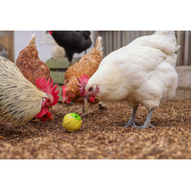 Snackbal Kerbl Hobbyfarming Geel Snackbal Kerbl Hobbyfarming Geel