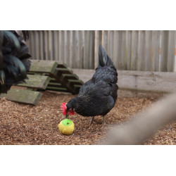 Snackbal Kerbl Hobbyfarming Geel Snackbal Kerbl Hobbyfarming Geel