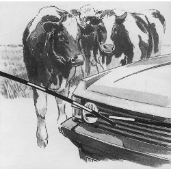 Vervangingsbalk Electro Gate AKO Zwart