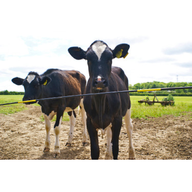 Vervangingsbalk Electro Gate AKO Zwart