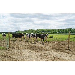 Vervangscharnier Electro Gate Kerbl Zwart / geel