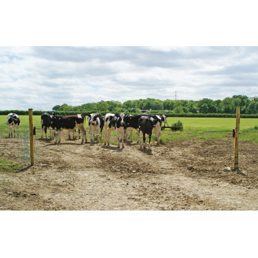 Vervangscharnier Electro Gate Kerbl Zwart / geel