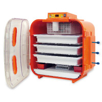 Covatutto 162 digitale broedmachine Kerbl Hobbyfarming Oranje