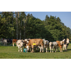 Duo Power Xi 8000 smart AKO Groen Duo Power Xi 8000 smart AKO Groen