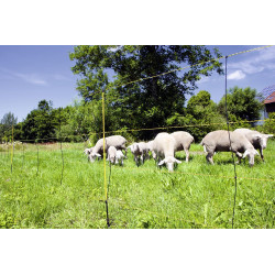 EasyNet halstertouw pet