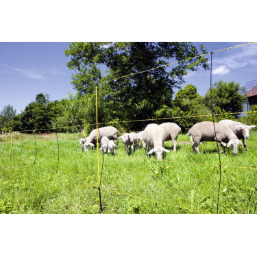 EasyNet halstertouw pet