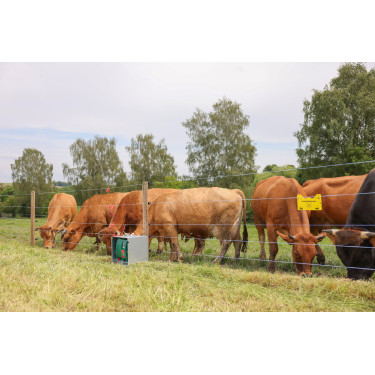 PlatinumLine AKO afrasteringsdraad Wit / blauw PlatinumLine AKO afrasteringsdraad Wit / blauw